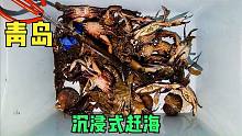 在青岛，想吃海鲜，就到海里转转，看看老小伙的收获，真新鲜
