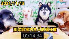 铲屎官给狗宝的测验！狗宝们谁能坚持到最后！大壮你要笑死我了！
