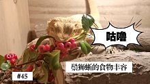 鬃狮蜥食物丰容系列之秋天的果实篇（全程解说哦）