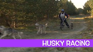 The new season approaches.- UK Husky Racing