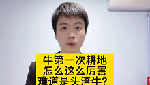 牛第一次耕地，一定会失败吗？