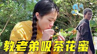 一大早上山撿茶籽，帶堂弟體驗兒時的樂趣：吸花蜜，老弟一臉疑惑