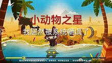 小动物之星