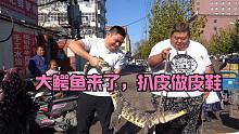 猴哥花一千多大洋买的人工养殖鳄鱼招待陈大胖，吃着Q弹越嚼越香