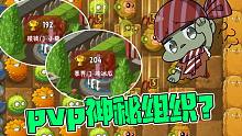 植物大战僵尸：PVP惊现神秘组织？大嘴：空城计？有点不对劲！