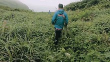 极限生存挑战荒岛求生，挑战者无任何现代工具需要在这里生存15天先从搭建庇护所开始