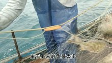 彪哥远征外海过夜捕鱼，大货跟大石斑鱼接连上，好多年没这么激动