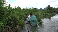 啊才用铁网自制地笼捕鱼，效果真棒前后都能进鱼，几小时收获满满