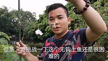 挑战无钩钓鱼！您有想过不用鱼钩也能钓鱼吗？看小伙是怎么做到的
