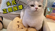 路边发卡的猫猫按摩师，千万不要信！！！