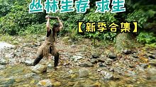 原始丛林人【新季合集】-6个月的丛林生存，荒野求生，野外生存【不断更新，请收藏】原老合集已满200集