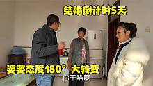 平平结婚倒计时5天，婆婆态度180度大转变，小凯：有点懵