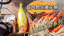 直捣黄花鱼老窝，抓到罕见超大黄鱼，没上岸就被网友以6千元预定