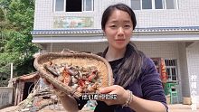 在农村龙虾没有人吃，姑娘用3盆花换了一大盆，这次真吃够了