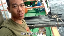 船上睡了一晚差点吐到胃都没了 看到丰收都没心情了 老二脸都黑了