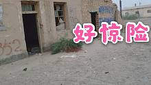 自驾小伙穷游新疆，破房子里遭遇惊险一幕，吓得拔腿就跑