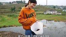 农村妹子花5块钱买了一斤肉到河边捉龙虾，没想到收获才这点