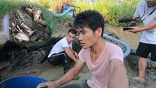 两小伙今天拼了，抽干那么一大塘的水捕鱼，收获几十斤