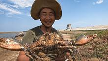 玉平抓螃蟹太牛了，赶海抓到一只超大的青蟹，上秤一称真大