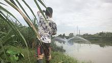 大雨后，水口聚集了好多鱼在觅食，一网撒下去，居然拉都拉不动了