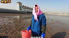 二蛋蒙着头巾赶海运气爆棚，抓了30多斤蛤蜊，上岸就卖了小300