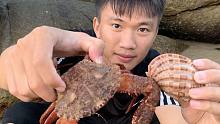 石头中好多海货，小伙翻开随便捡，还抓到了大螃蟹