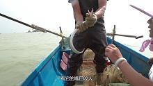 小渔父女两出海收笼，一只海鳗钻进地笼，渔爸没抓住差点跑掉
