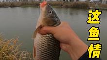 今天去小河沟钓鱼 #钓鱼 #野钓 #户外钓鱼