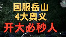 国服岳山四大奥义 开大必秒人