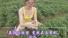 漂亮女孩居然在土里抓这个