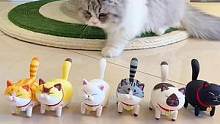 猫咪大队来了！快避让！