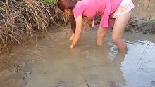 小妹在农田里捕鱼
