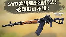 新武器SVD冲锋狙邪道打法！这数据真不错！【使命召唤手游】