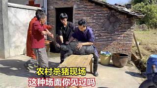 江西农村杀猪现场，小伙花2000多元买下一头猪，你觉得划算吗？