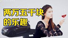 只需要两万五千块就可以得到的乐趣！