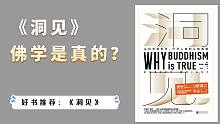 叔本华：人生就是在痛苦和无聊间左右摇摆，为什么痛苦是人生的一部分？