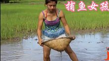 勤劳美丽的女孩 在农田里抓鱼 能抓到大鱼吗？
