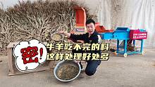牛羊吃不干净的草料这样处理，营养价值高，还不浪费料儿