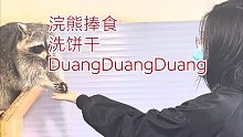 喂浣熊