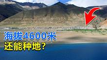 文布南村，藏北高原上唯一能种庄稼的地方，这里美得不似人间