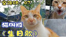 【捡猫】记录第1096天，吉吉猫叫版《生日歌》！