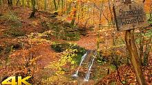 4K超高清风景-远足德国特里尔风景秀丽的秋季河流步道