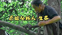 原始丛林人-6个月的丛林生存，第198集-树上最有效的陷阱，荒野独行，荒野求生，野外生存