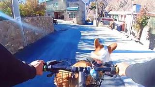 带着狗子给你们看看俺们村！ #山地自行车 #骑行旅行风景 #单车旅行