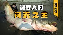 “河流之主”现形记：生吞活人、预测地震的巨型鲶鱼真的存在吗？