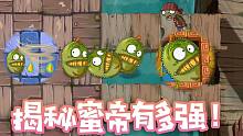 PVZ唯一红卡植物？小蛙“揭秘”蜜帝有多强！
