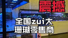 探访全国zui大珊瑚零售商，感受一下雄厚的财力