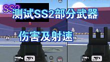 48.【香肠派对】测评SS2赛季部分枪械伤害及射速，还想看什么请留言
