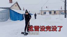 黑龙江大雪连下三天，小刀千里寻爹，刺老芽带大毛逛雪景去了！