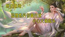 狐狸炼丹切莫打扰，小心大祸临头